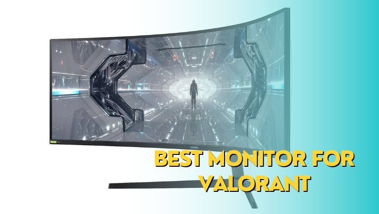 Best Monitor for Valorant (Gaming, 60hz, MSI, 240hz, 1440P)